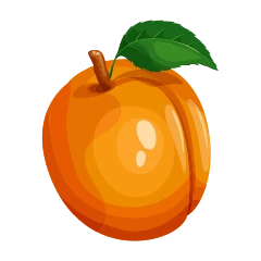 Abricot