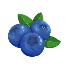Myrtille