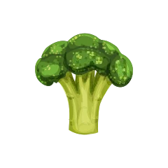Brocoli