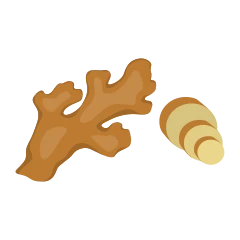 Gingembre