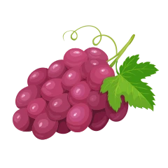 Raisin