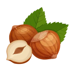 Noisette
