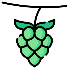 Houblon en couleur
