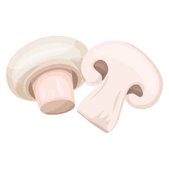 Champignon