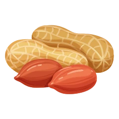 Cacahuète