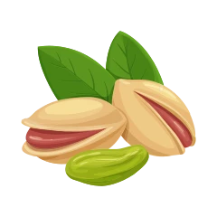 Pistache