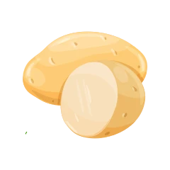 Pomme de terre