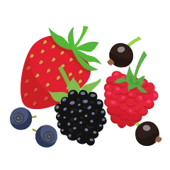 Fruits des bois