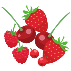Fruits rouges
