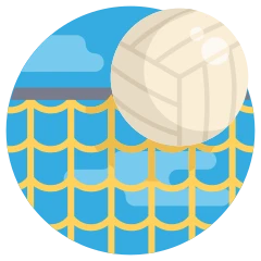 Volley-ball