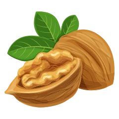 Noix